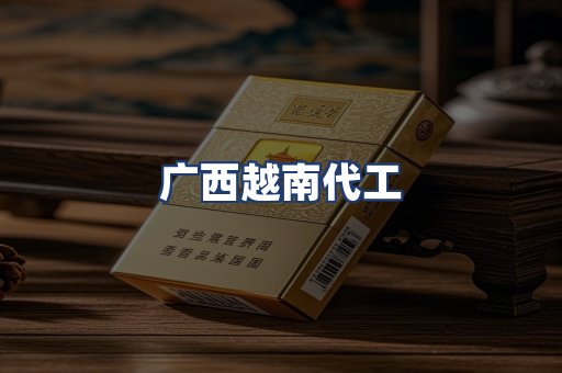 广西越南代工